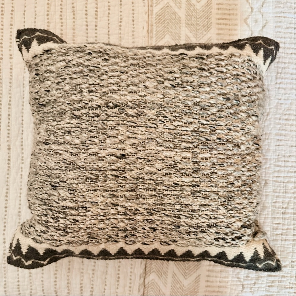 Indoor Outdoor Pillows from Wayfair with Cases and Down Pillow inserts (2 avail) - Picture 4 of 10